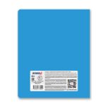 Тетрадь со справочным материалом Капсула знаний, A5 48 л. на скобе 60 г/м², белизна 90% 10 шт клетка, 01795 Капсула знаний Информатика, Светоч Т276