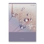 Тетрадь ученическая общая, A4 96 л. на скобе 65 г/м², белизна 100 %, 6 шт, клетка, 01351 Утренняя роса, Светоч Т156