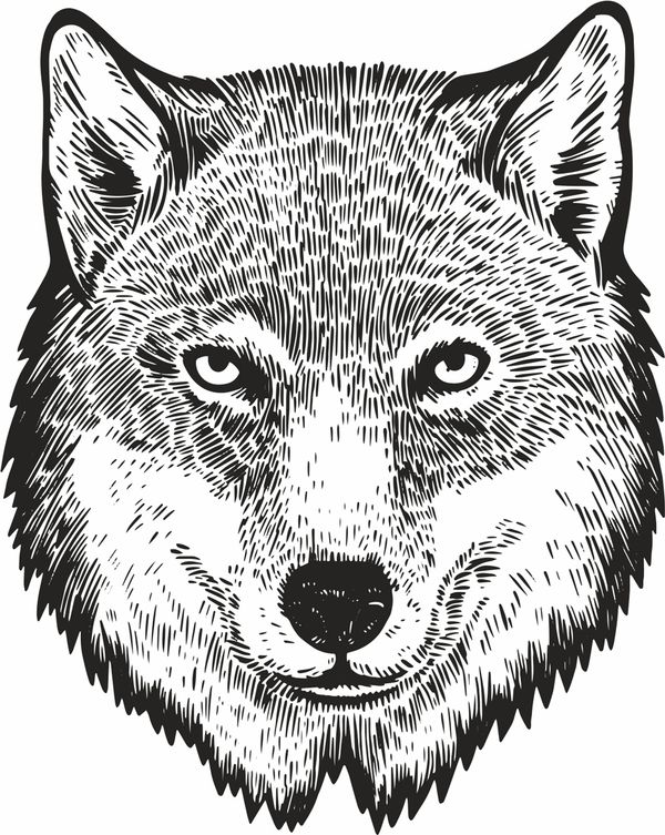 Термоаппликация Gamma Термотрансфер M №05, 1 шт, M-523 Волк 10х12.5 см