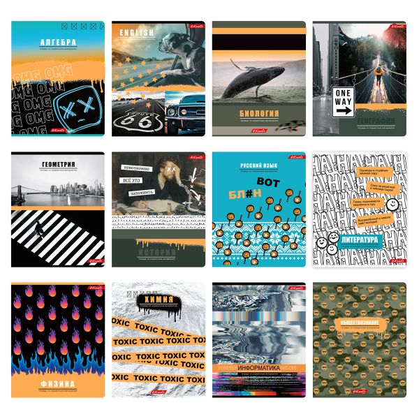 Комплект предметных тетрадей Разные интересы A5+ 48 л. 12 шт, на скобе клетка/линия, Алгебра, Английский, Биология, География, Геометрия, Физика, Химия, История, Русский, Литература, Обществознание, Информатика, Светоч
