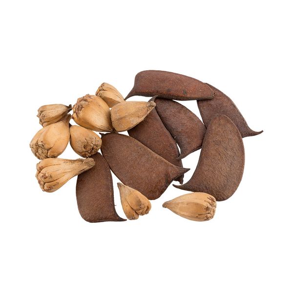 Набор флористических природных материалов 100 г,±5 г, 01, Blumentag SDE-01