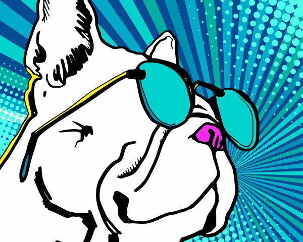 Холст для раскрашивания по номерам PNB/C3 №44, Бульдог на стиле. Поп-арт, 40х30 см