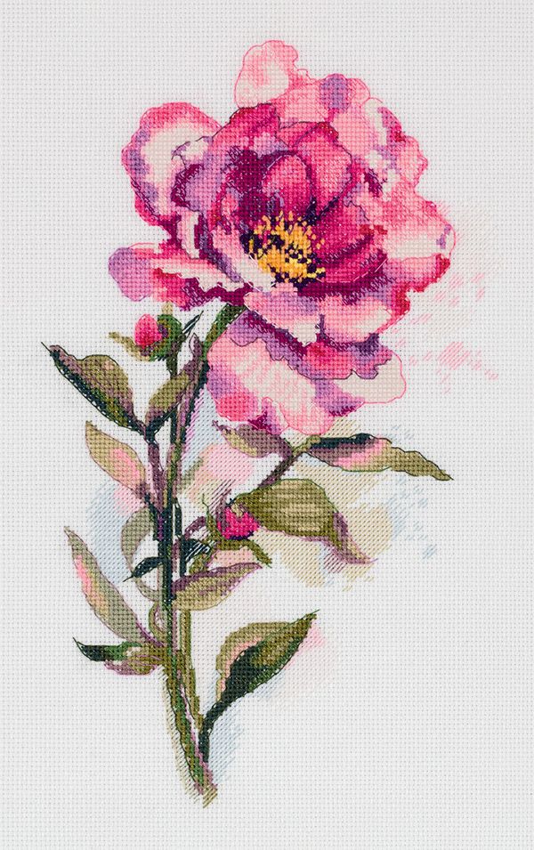 Набор для вышивания нитками Panna C-7364, Акварельный пион, 19.5х29 см
