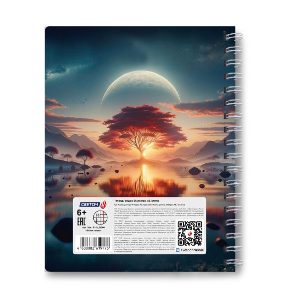 Тетрадь ученическая общая, A5 96 л. на гребне 65 г/м², белизна 100 %, 4 шт, клетка, 01200 Магия заката, Светоч Т115