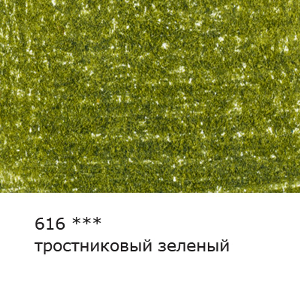Карандаш цветной художественный заточенный, 6 шт, 616 Тростниковый зеленый (Green cane), Vista-Artista Gallery VGCP
