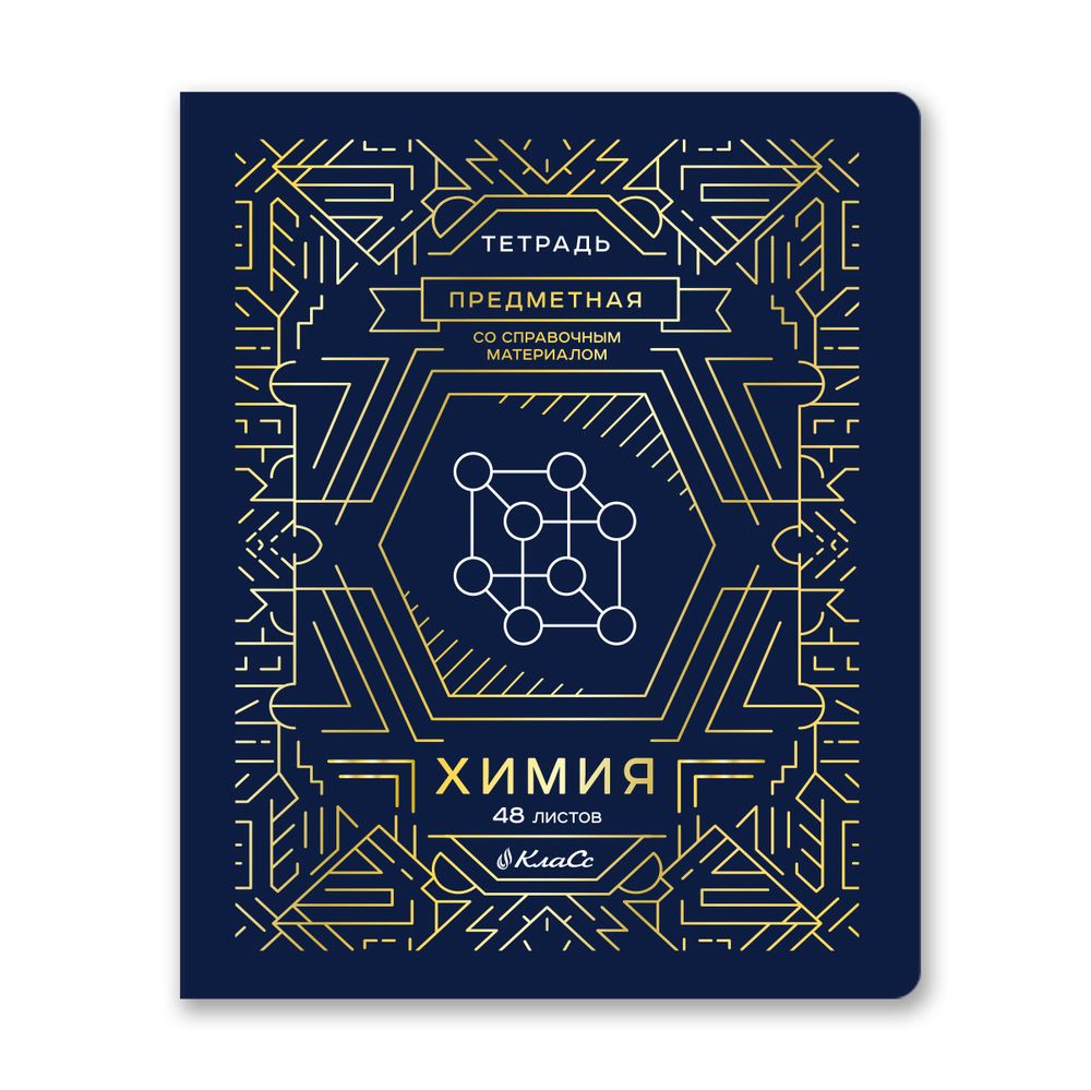 Комплект тетрадей со справочным материалом Линия успеха, софт тач ламинация + тиснение фольгой, A5+ 48 л. 12 шт, на скобе 65 г/м², белизна 100 %, клетка/линия, 01051 12 предметов, Светоч 48К35