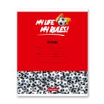 Тетрадь ученическая школьная A5+ 24 л. на скобе, белизна 100% 30 шт, клетка, 000372 Мячики, Светоч 24ТСКд5_1_3_1