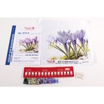 Набор для вышивания бисером Матренин Посад, Песня весны, 28х34 см