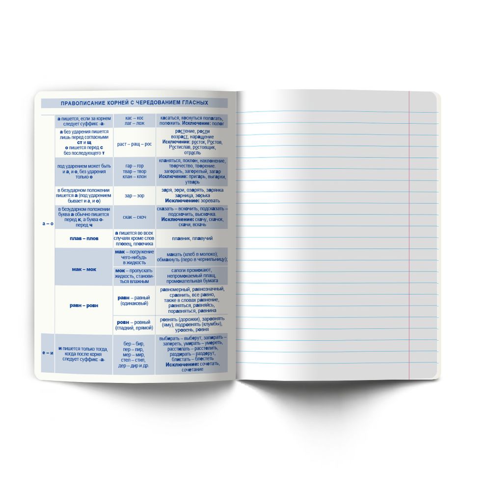 Тетрадь со справочным материалом Капсула знаний, A5 48 л. на скобе 60 г/м², белизна 90% 10 шт линия, 01798 Капсула знаний Русский язык, Светоч Т277