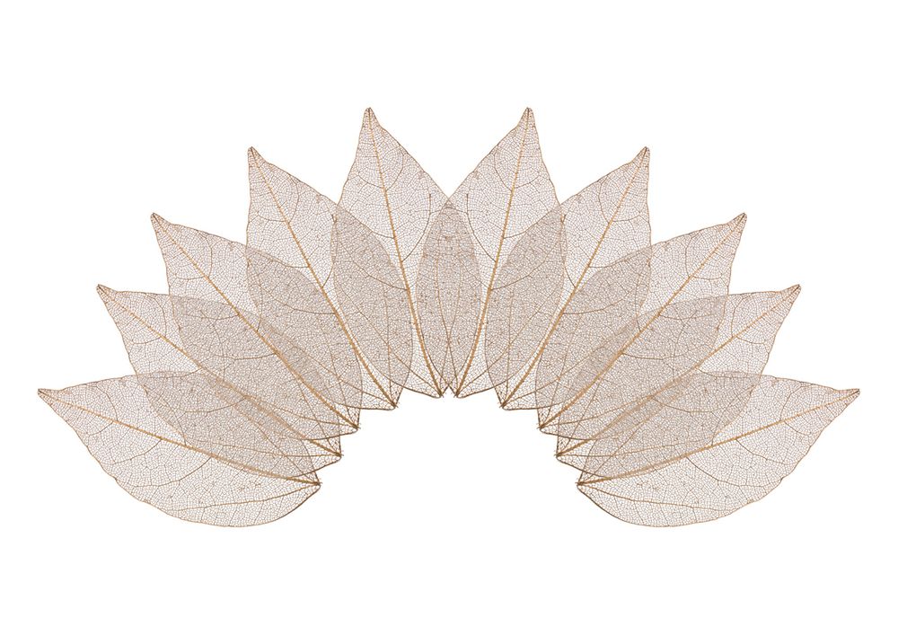 Листья скелетированные 2-6 см, 50 шт (5х10 шт), 04 золотистый, Mr.Painter SFL-01