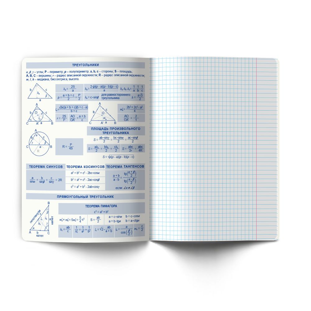 Тетрадь со справочным материалом Огромный мир внутри, A5 48 л. на скобе 60 г/м², белизна 90% 10 шт клетка, 01803 Огромный мир внутри Геометрия, Светоч Т278