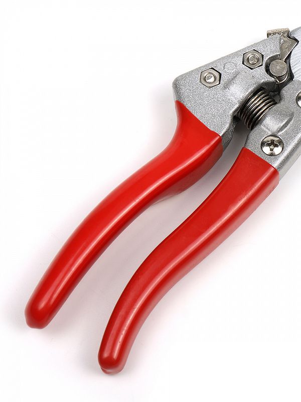 Секатор изогнутое лезвие 60/225 V8 ручки красный металл, Maxwell Garden