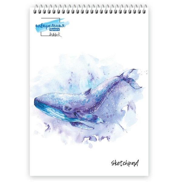Скетчпад Изостудия с акварельной бумагой 200 г/м², А4 на спирали 20 л, 02-кит, Аква-колор