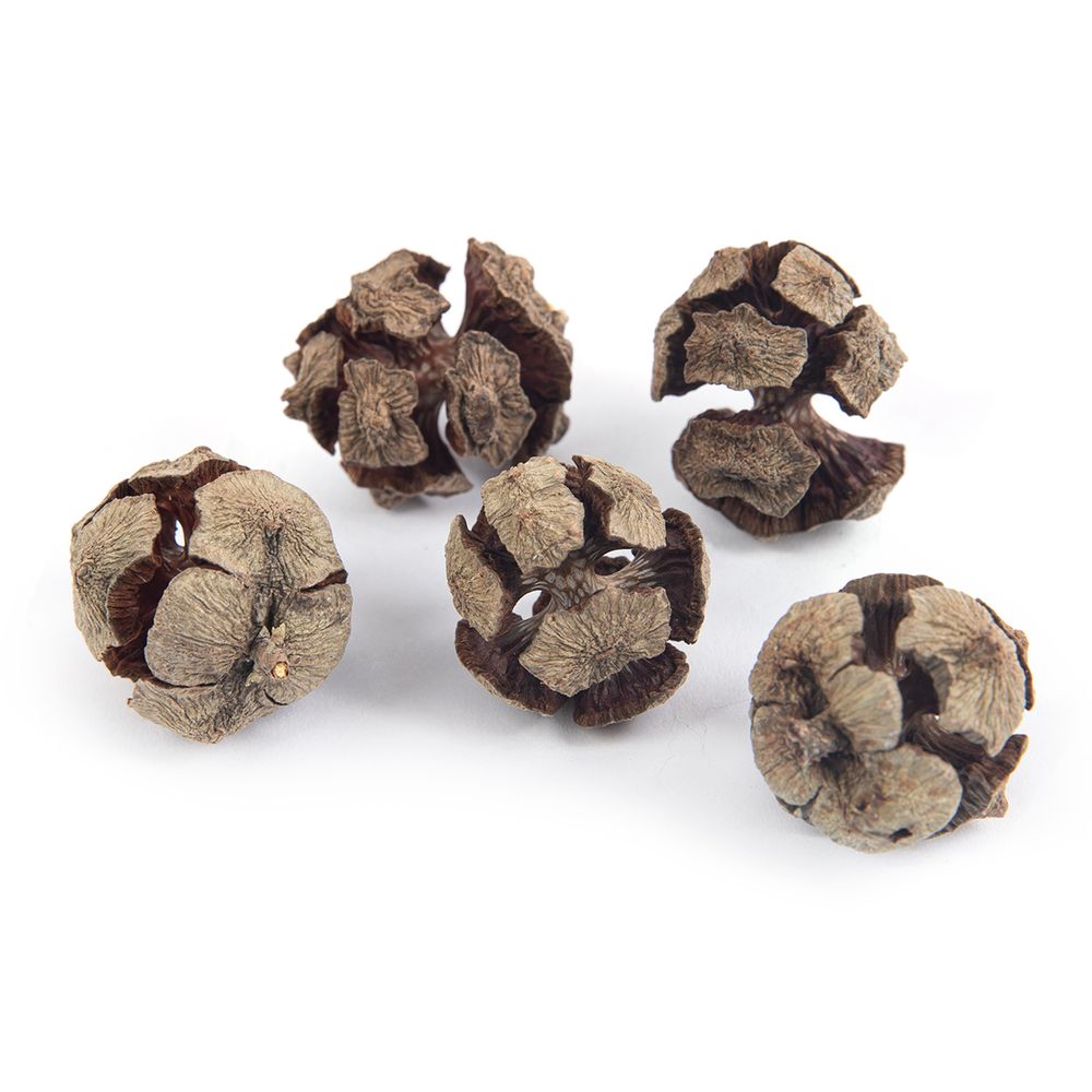 Шишки кипариса d. 2.5 см, ± 1, 5 шт, 15 г, ± 5 г, 01, Blumentag PIF-10