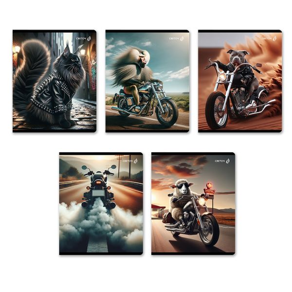 Тетрадь ученическая общая, глянцевая ламинация A5 48 л. на скобе 65 г/м², белизна 100% 10 шт клетка, 01505 Это кто на мотоцикле?, Светоч Т71