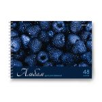 Альбом для рисования 100 г/м², A4 29.5х21 см, 5 шт на гребне 48 л, 01622 Ярко - синий мир, Светоч А234