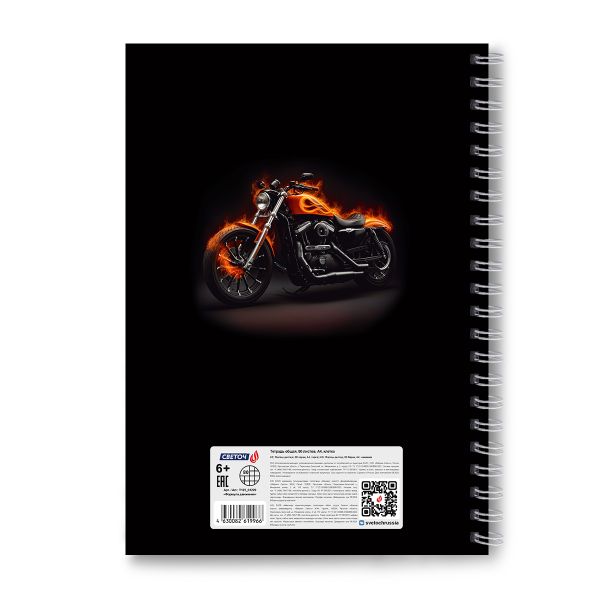 Тетрадь ученическая общая, A4 80 л. на гребне 65 г/м², белизна 100 %, 4 шт, клетка, 01229 Формула движения, Светоч Т125