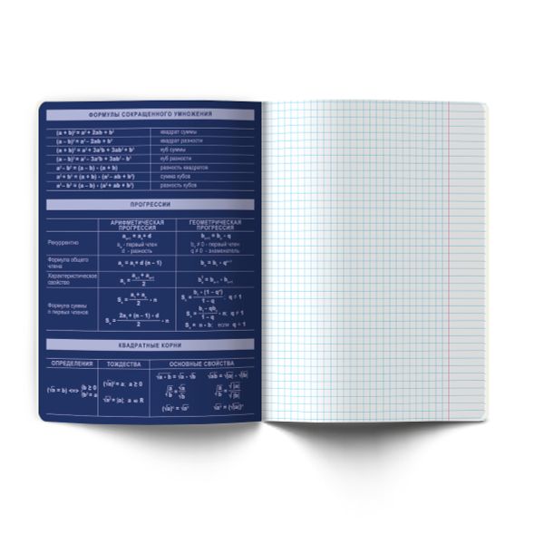 Комплект тетрадей со справочными материалами Золотые главы, тисн.золот.фольгой, A5 48 л. 12 шт на скобе 65 г/м², белизна 100% 1 шт, клетка/линия, 01887 12 предметов, Светоч Т298