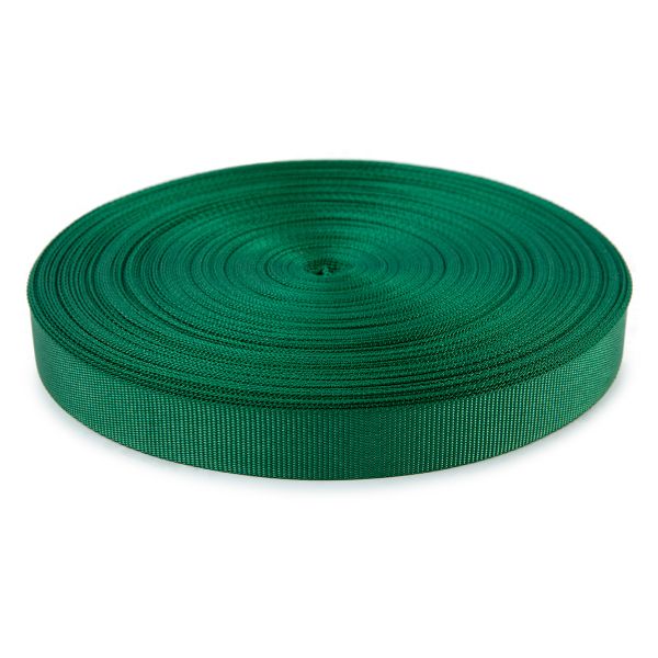 Тесьма (лента) окантовочная 22 мм / 50 метров, 820009/ зеленый, Gamma 9с754