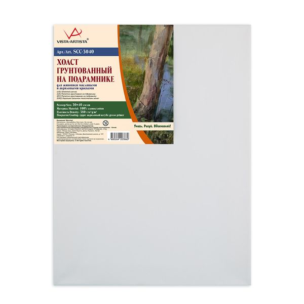 Холст грунтованный на подрамнике 30х40 см, 380 г/м², 2 шт, среднезернистый, Vista-Artista SCC-3040