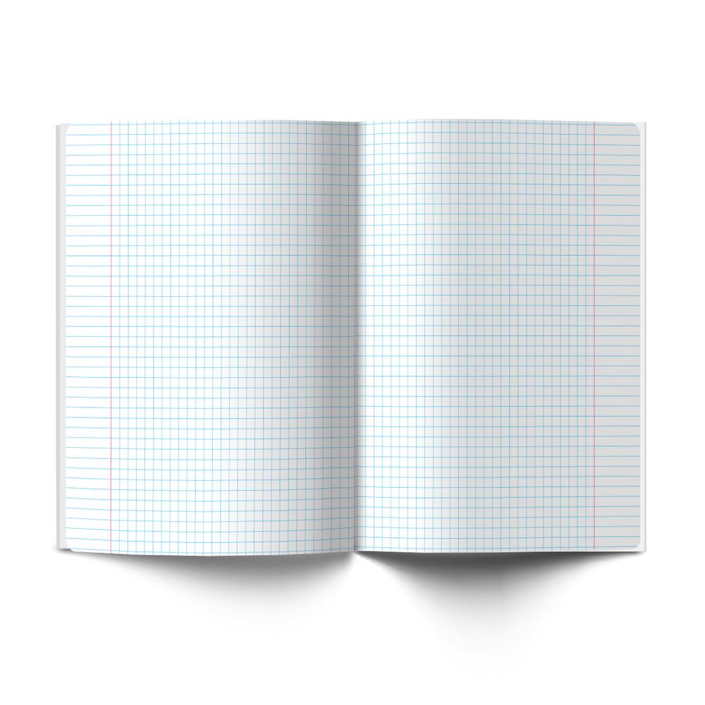 Тетрадь со справ.материал. Архивариус пластик.обл. 320мкм с тис.золот.фольгой. A5 48 л. на скобе 65 г/м², белизна 100% 10 шт, клетка, 01872 Архивариус Английский язык, Светоч Т290