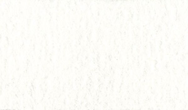 Краска акварель художественная, кювета 2.5 мл, 101 белила, Vista-Artista VAW