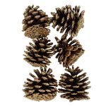 Шишки, 6 шт, 01 Сосна/золото, Blumentag CIF-02