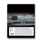 Тетрадь предметная Загадочная история A5+ 48 л. на скобе, белизна 100%, 10 шт, линия, 48ТСК5/000190 Русский язык, Светоч