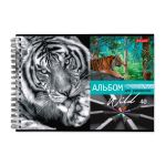 Альбом для рисования, 100 г/м², A4 29х20.5 см, на гребне 40 л., 6 шт, 40АЛГР4_000244 Саванна, Светоч