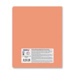 Тетрадь со справочным материалом Полёт идей, A5+ 48 л. на скобе 60 г/м², белизна 90%, 10 шт, клетка, 000493 География, Светоч 48ТПСКп5_0_2_1