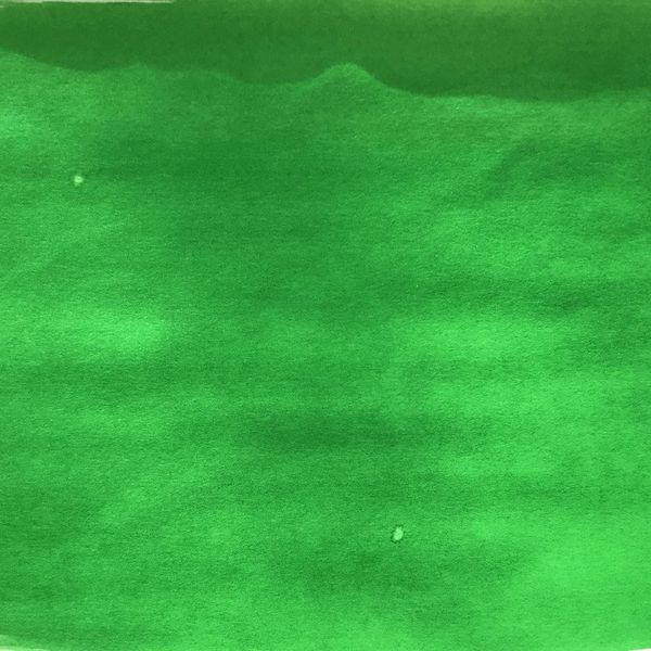 Краска акварель акварельные чернила Colorex 45 мл, зеленый восточный, Pebeo 417033