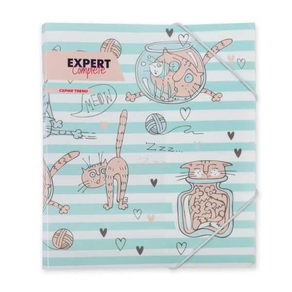 Папка на резинке A5 ECRF-05 450 мкм 25 мм, песок, 6 шт, №02-Кот, Expert Complete ECRF-05