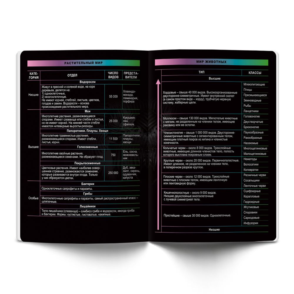 Тетрадь предметная Загадочная история A5+ 48 л. на скобе, белизна 100%, 10 шт, клетка, 48ТСК5/000185 Биология, Светоч