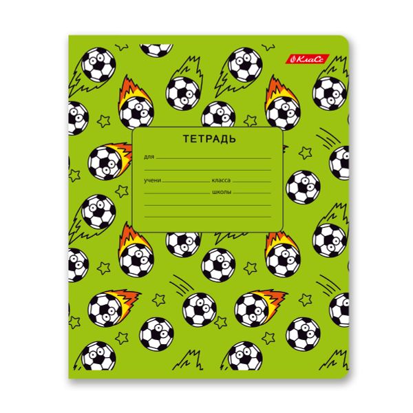 Тетрадь ученическая школьная, выборочный лак, A5+ 18 л. на скобе 65 г/м², белизна 100%, 20 шт, линия, 000713 Зелёное настроение, Светоч 18ТЕТл-003