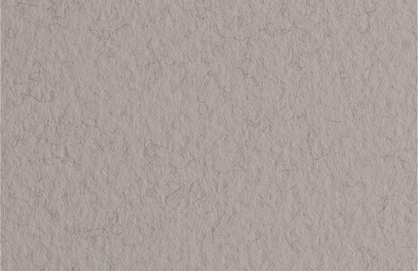 Бумага для пастели 160 г/м², 70х100 см, 10 листов, China/Серый теплый, Fabriano