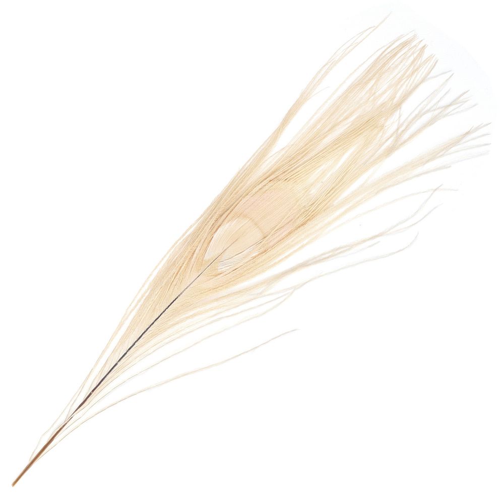 Перо павлина декоративное 25-30см, 10 штук (бежевый), AR204-2