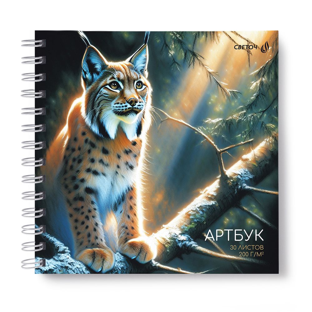 Артбук (Скетчбук), блок белый, жесткая подложка, 200 г/м², 205х205 мм, на гребне 30 л. 2 шт, Лесная грация 01609, Светоч А230
