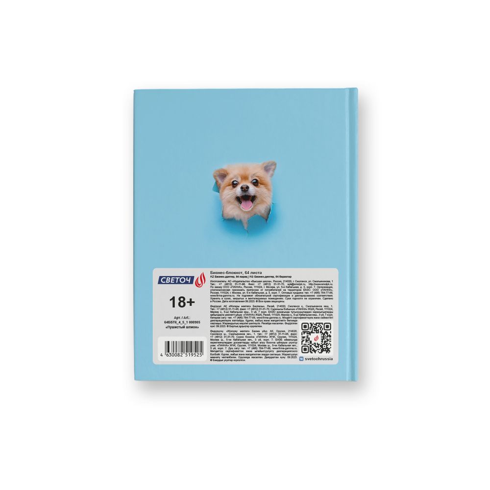 Бизнес-блокнот, глянцевая ламинация, A6 64 л. 24 шт, клетка, Пушистый шпион 000905, Светоч 64ББТ6_4_5_1