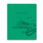 Комплект тетрадей со справочными материалами Яркость по расписанию, с запечат.пластик.обл. 320мкм A5 48 л. 12 шт на скобе 65 г/м², белизна 100% 1 шт клетка/линия, 01888 12 предметов, Светоч Т299