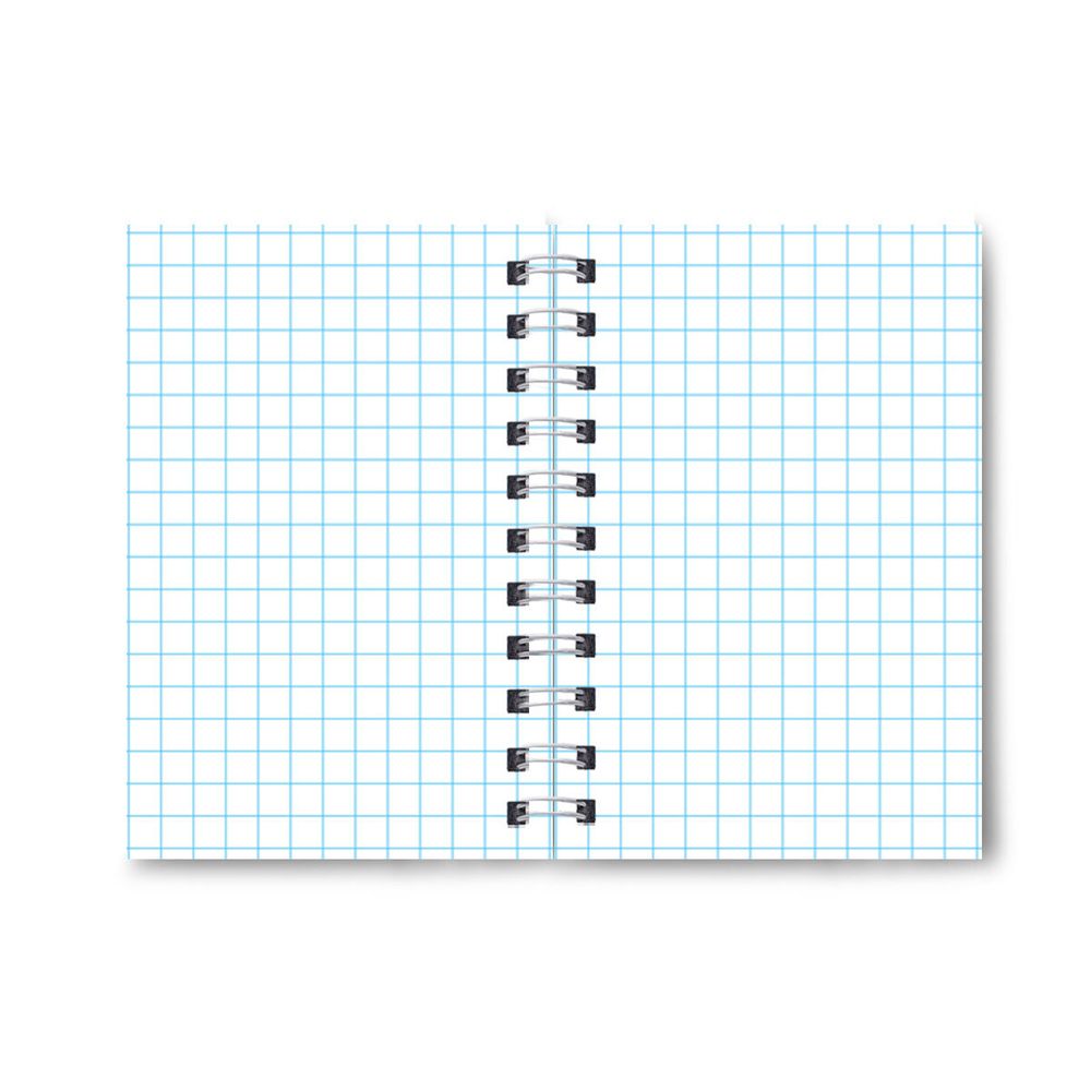 Записная книжка на гребне A6 120 л., 4 шт, клетка, Мои правила 01182, Светоч ЗК110