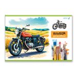 Альбом для рисования выбор.лак, 100 г/м², A4 29.5х20.2 см, 24 л. на скобе 5 шт, 01702 МИКС Нарисуй мечту, Светоч А255