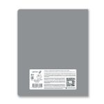 Тетрадь со справ.материал. Архивариус пластик.обл. 320мкм с тис.золот.фольгой. A5 48 л. на скобе 65 г/м², белизна 100% 10 шт линия, 01881 Архивариус Литература, Светоч Т291