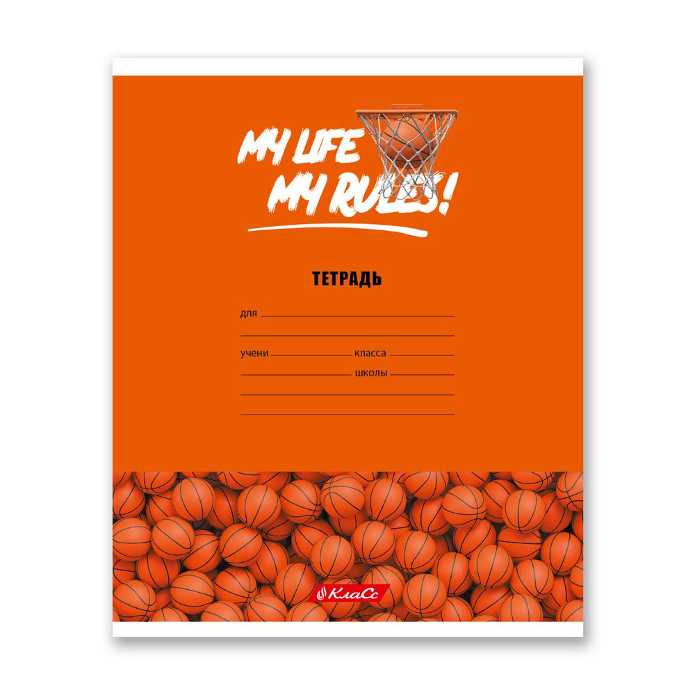 Тетрадь ученическая школьная A5+ 24 л. на скобе, белизна 100% 30 шт, клетка, 000372 Мячики, Светоч 24ТСКд5_1_3_1