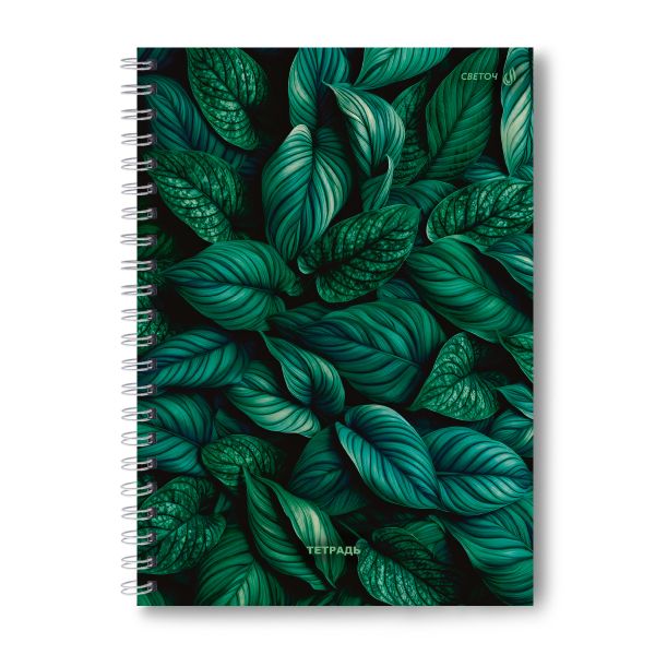 Тетрадь ученическая общая, A4 96 л. на гребне 65 г/м², белизна 100 %, 4 шт, клетка, 01247 Зелёный ковёр, Светоч Т129