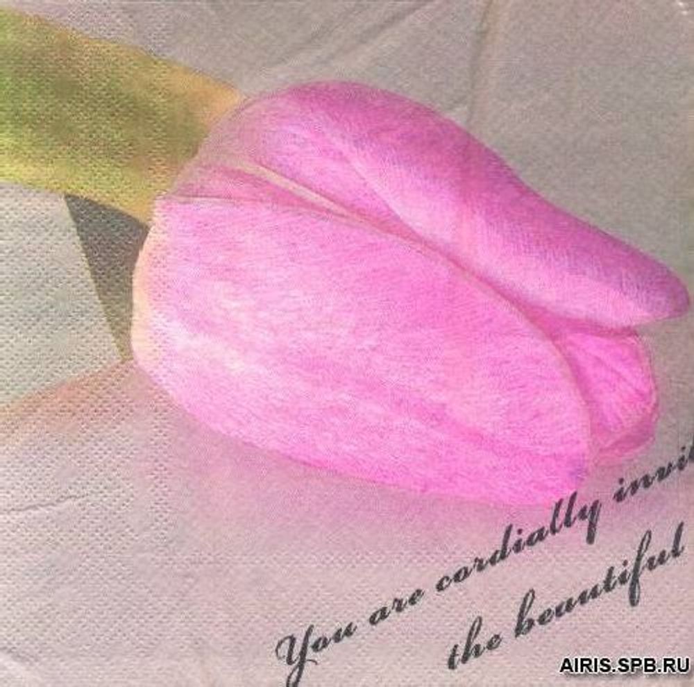 Салфетки 33х33см, 3-х слойные AY, 20 шт/упак (AY-1665)