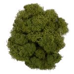 Мох стабилизированный окрашенный 50 г, 04 хаки, Blumentag, BMSR-50