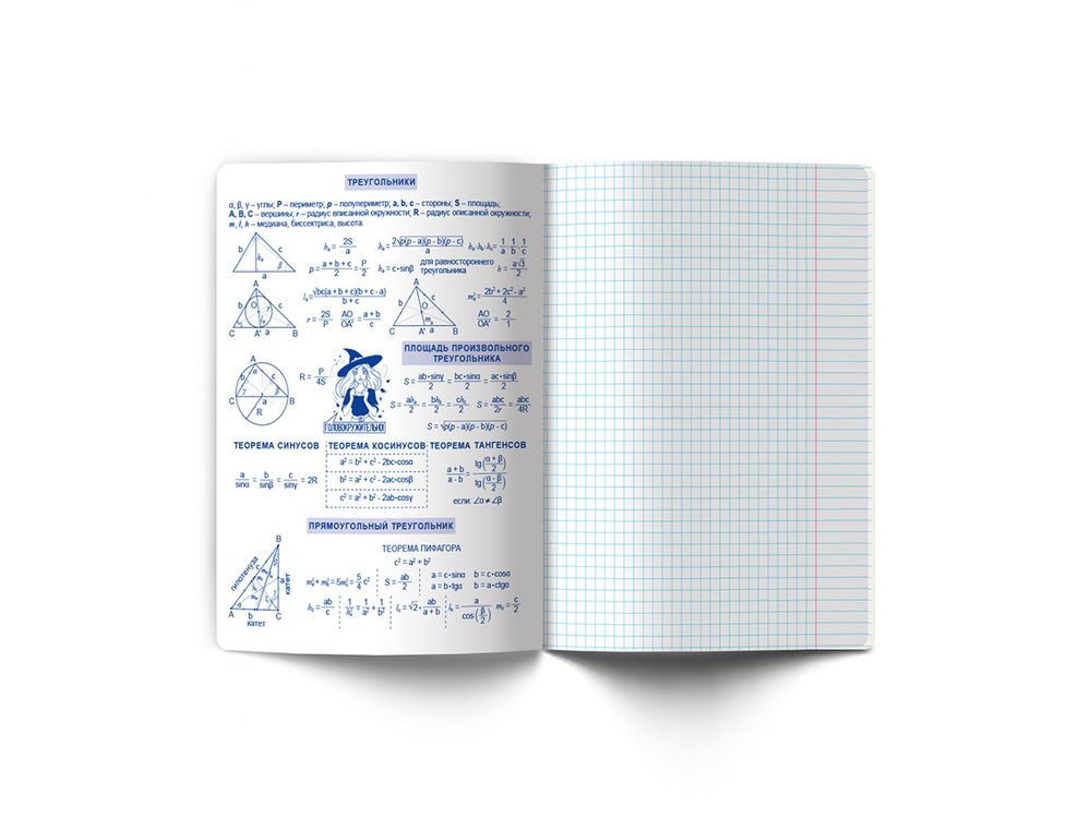 Тетрадь со справочным материалом Ковен тайных знаний, A5+ 48 л. на скобе 65 г/м², белизна 100%, 10 шт, клетка, 00855 Геометрия, Светоч 48Т7