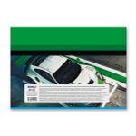 Альбом для рисования, выбор.лак, 100 г/м², A4 29х20.5 см, 40 л. на скобе, 5 шт, 000226 Берегись автомобиля, Светоч 40АЛСК4_4_3_9