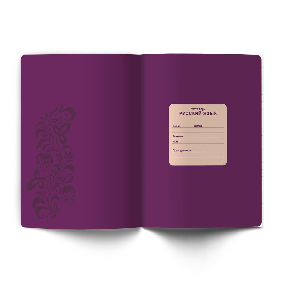 Тетрадь со справочным материалом Лёгким почерком, софт-тач ламинация, A5 48 л. на скобе 65 г/м², белизна 100% 10 шт линия, 01846 Лёгким почерком Русский язык, Светоч Т285