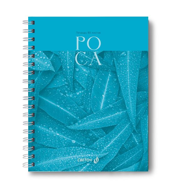 Тетрадь общая с твердой обложкой, матовая ламинация A5 80 л. на гребне 65 г/м², белизна 100% 4 шт клетка, 01559 Холодная роса, Светоч Т214